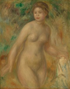 Desnudo